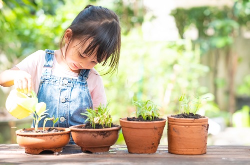 british nursery in dubai